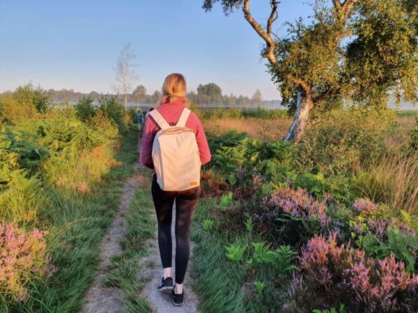 Wanderung Amtsvenn_Stadtmarketing Katharina Detert-min