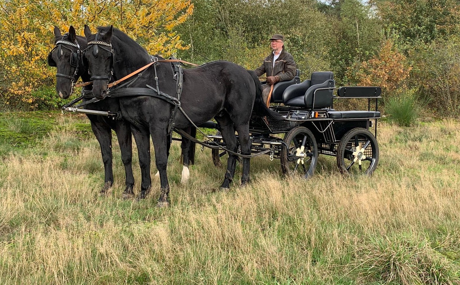 © Bernhard Terhan, carriage ride through Gronau and surroundings