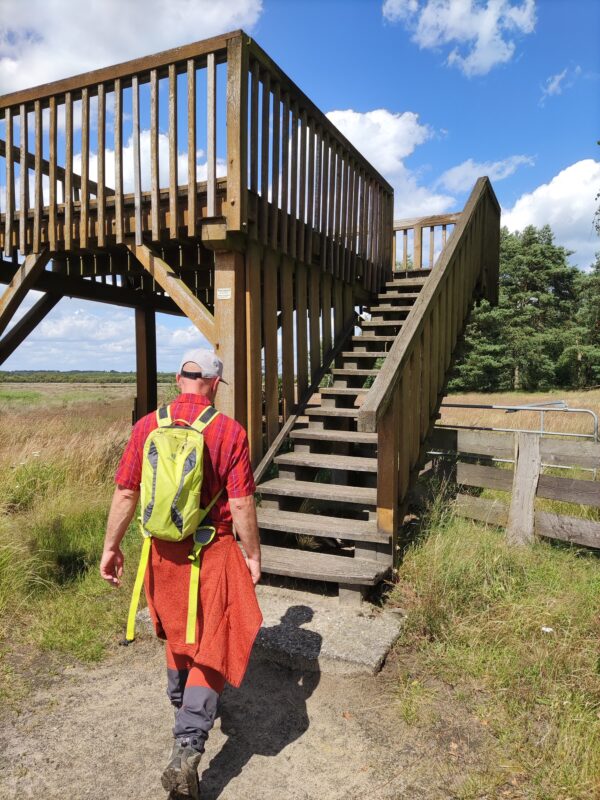 Naturführer Stefan Leiding ist im Begriff einen Aussichtsturm im Gildehauser Venn hochzusteigen