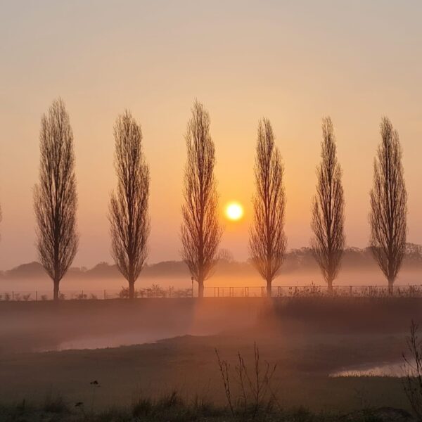 laga_frühmorgens_von_anke-vaartjes