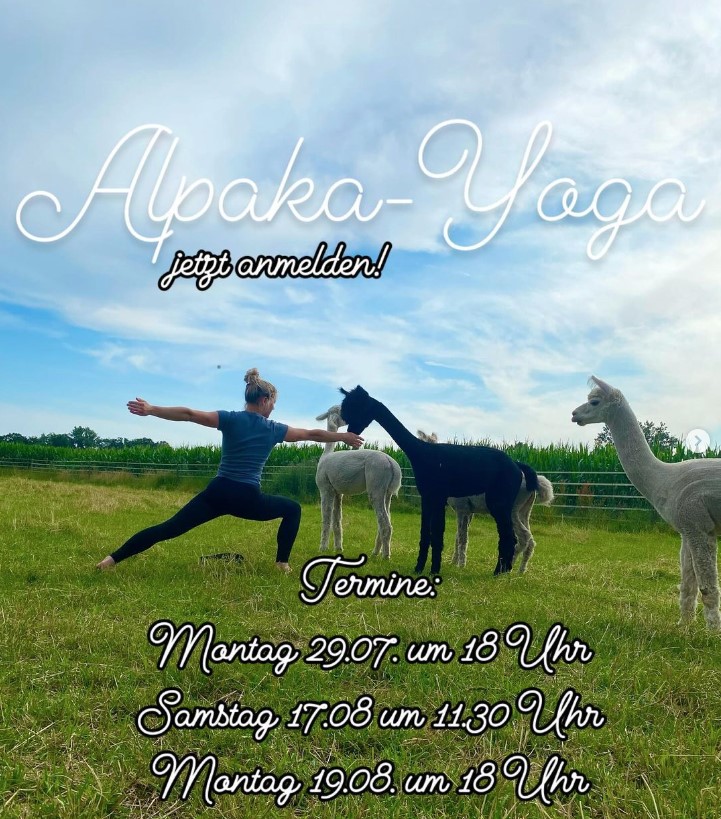 Alpaka-Yoga