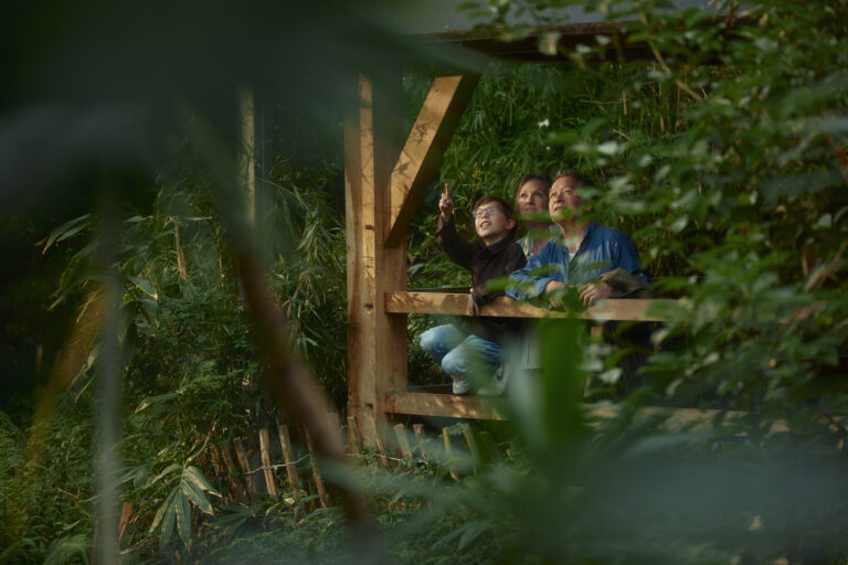 Eine Familie steht im Dschungel im Erlebnispark Emsflower.
