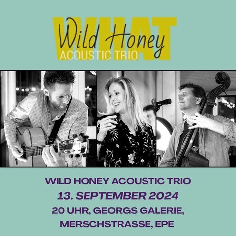 Wild Honey Acoustic Trio am 13.9.24 um 20h in Georgs Galerie