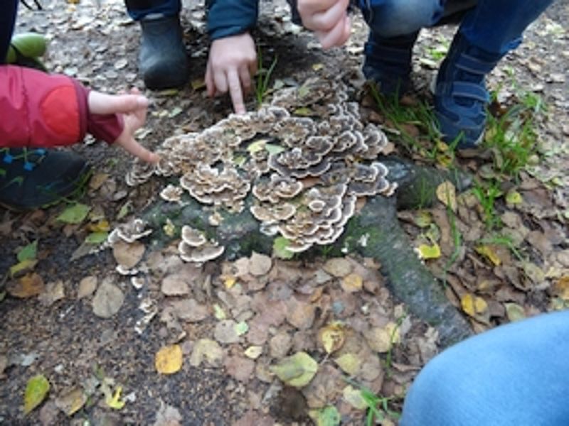 Erkundung der Gronauer Natur