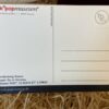 Postkarte Udo Lindenberg-Statue – Bild 3