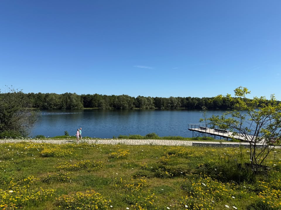 Vorne im Bild sieht man eine grüne Wiese mit Blumen. im mittleren Teil des Bildes sieht man einen Wanderweg, welcher am Dreiländersee entlangführt. Im Hintergrund sind grüne Bäume und der Himmel zu sehen,