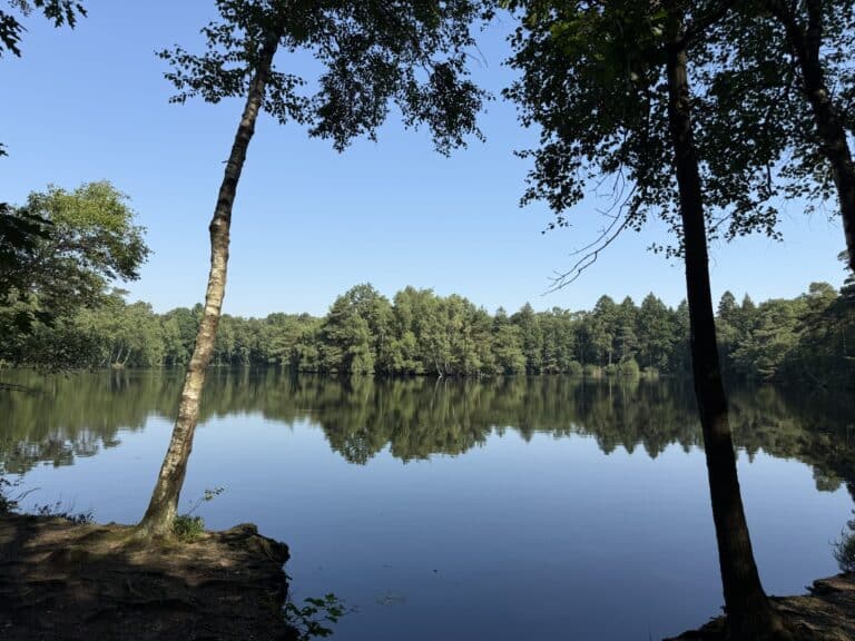 In the picture, you can see a lake with the trees on the other side reflected in it.