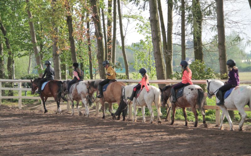 03_Reiten_Schule_Heidrose-Niehues_Kids