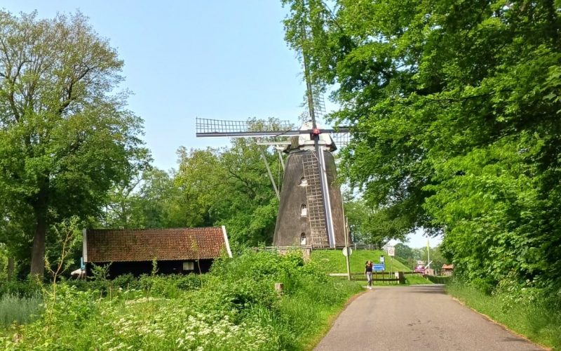 8a0e29c0-623c-4239-8313-d294f841bcd9