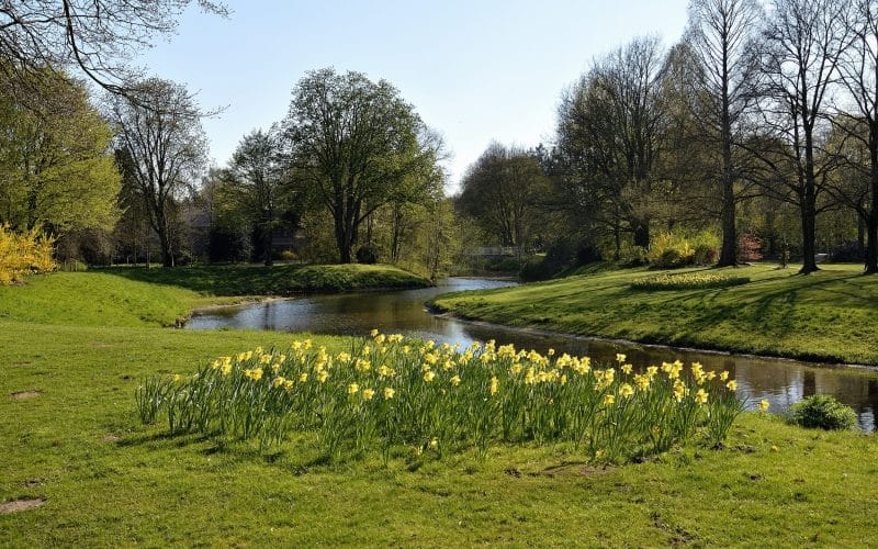 Stadtpark Gronau (c) Sven Rosowski