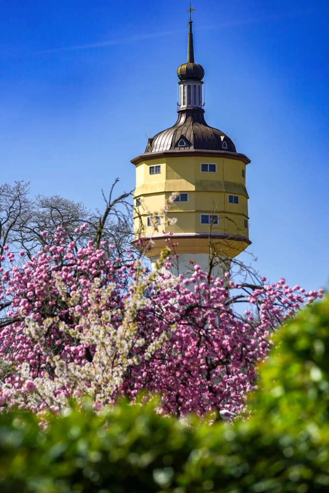 Mit diesem tollen Foto vom Gronauer Wasserturm von Nico Portheine wünschen wir euch ein schönes Osterfest! 😍🐰 

#happyeaster #froheostern #gronau #gronauinside #gronauerwahrzeichen #typischgronau #wasserturm